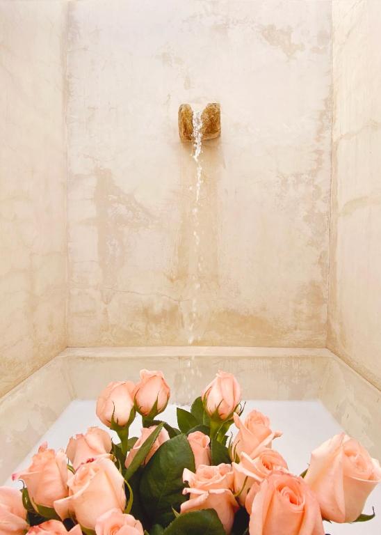Fotografie z fotogalerie ubytování Rosas & Xocolate Boutique Hotel and Spa Merida, a Member of Design Hotels v destinaci Mérida
