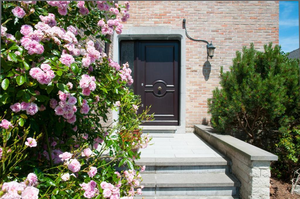 Zahrada ubytování Wellintown Guest House