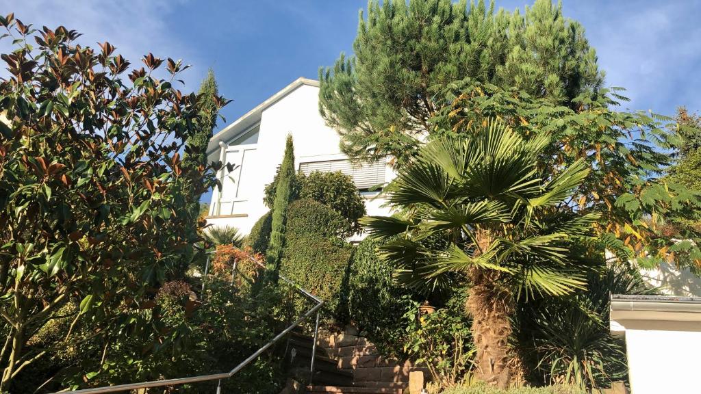 Zahrada ubytování Ferienwohnung Palmenalm