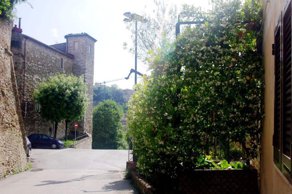 A garden outside Casetta Arco