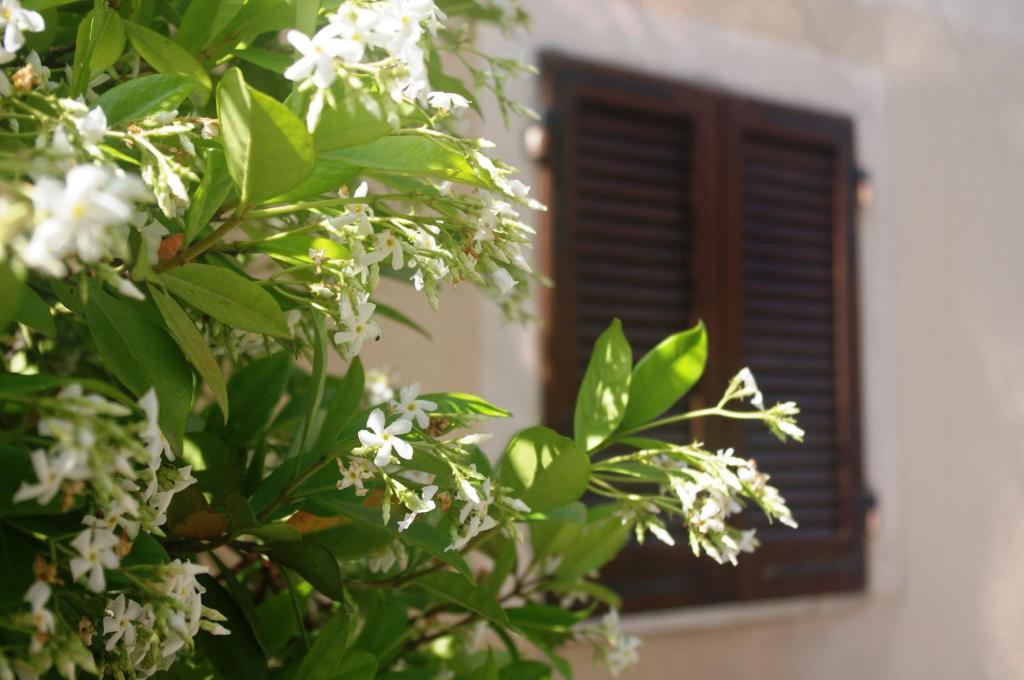 A garden outside Casetta Arco