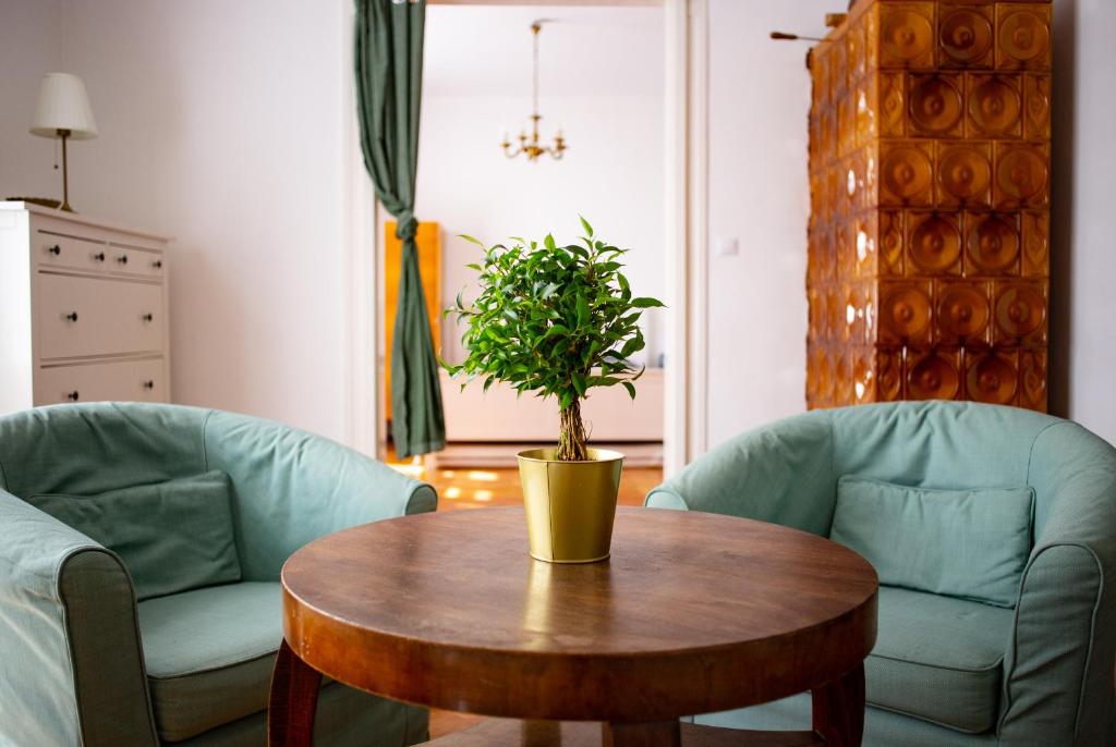 einen Tisch mit einer Topfpflanze darauf im Wohnzimmer in der Unterkunft Mályva-ház Verőce in Kismaros