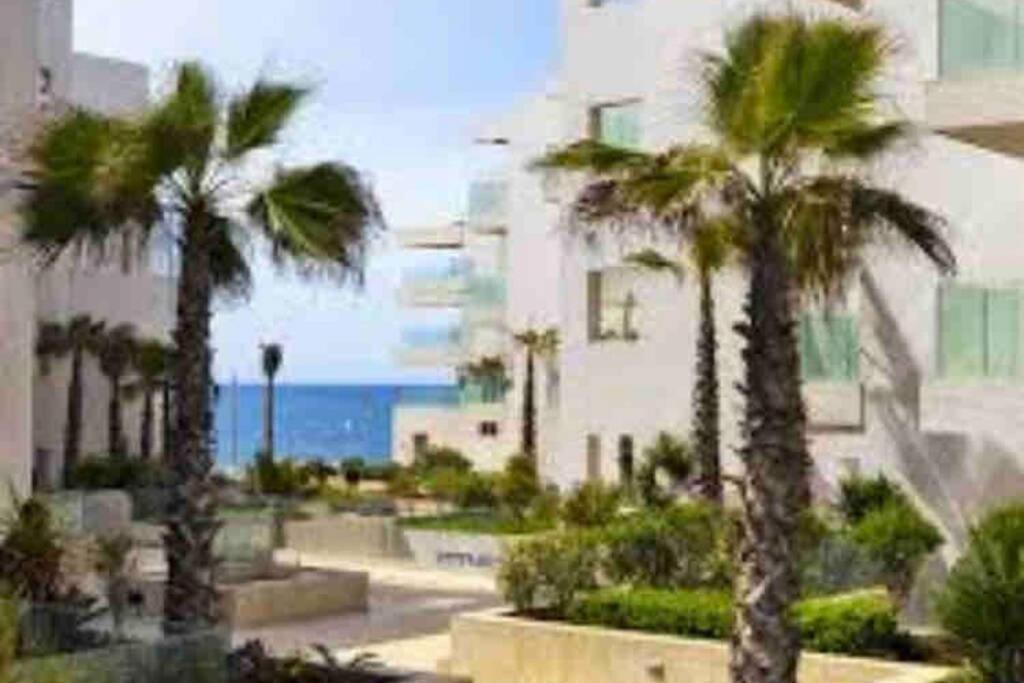 un gruppo di palme di fronte a un edificio di Appartement bord de mer très Haut standing à Mohammedia a Mohammedia