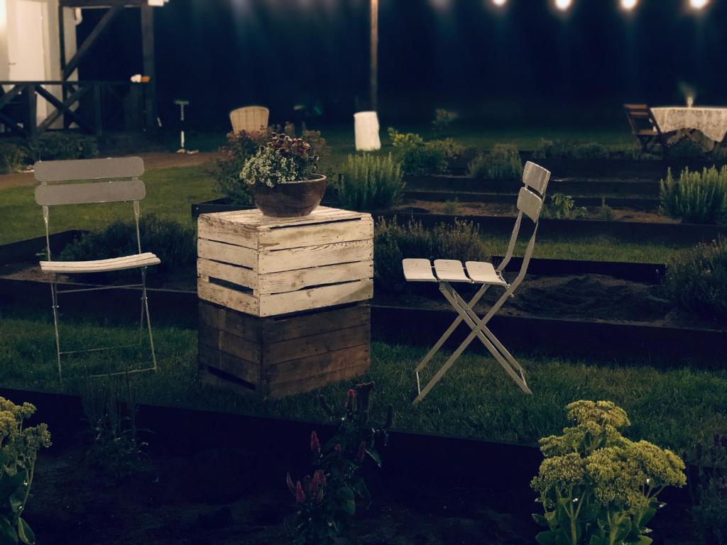 two chairs and a potted plant in a yard at Goose Home and Garden in Łeba
