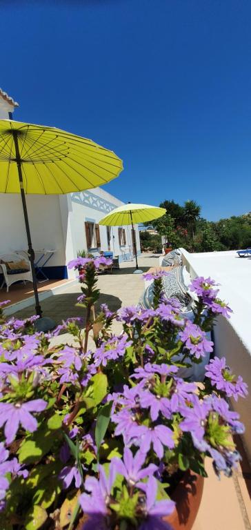 a bunch of purple flowers sitting under a yellow umbrella at Hakuna matata in Benagil