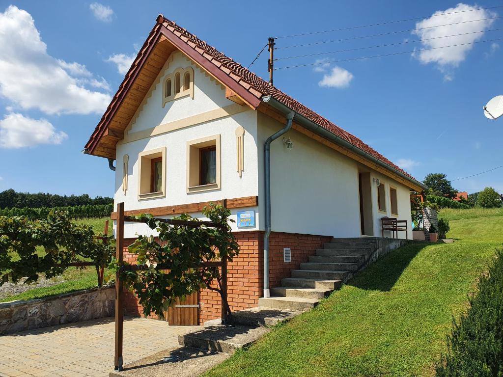德普因-艾森伯格的住宿－Kellerstöckl Weinberg，一座小房子,位于一座小山上,有草地庭院