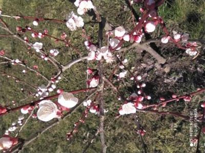 Fotografia z galérie ubytovania Domek Pralinka nad jeziorem - "Ostoja Penderoza" v destinácii Wolin
