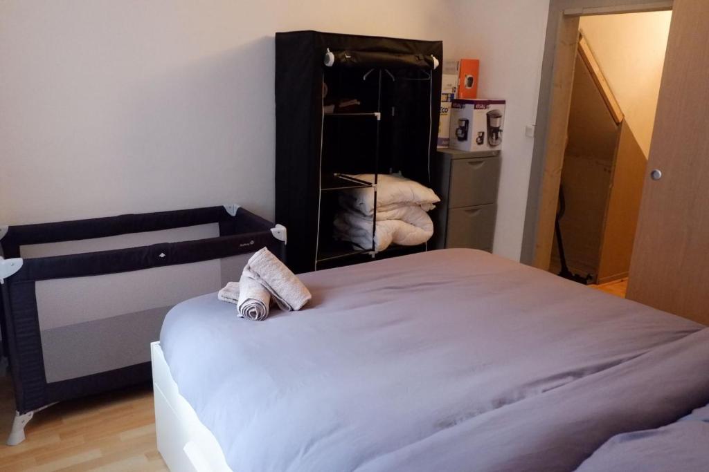 サラン・レ・バンにあるAppartement Cosy Salins les Bainsのベッドルーム1室(ベッド1台、クローゼット付)