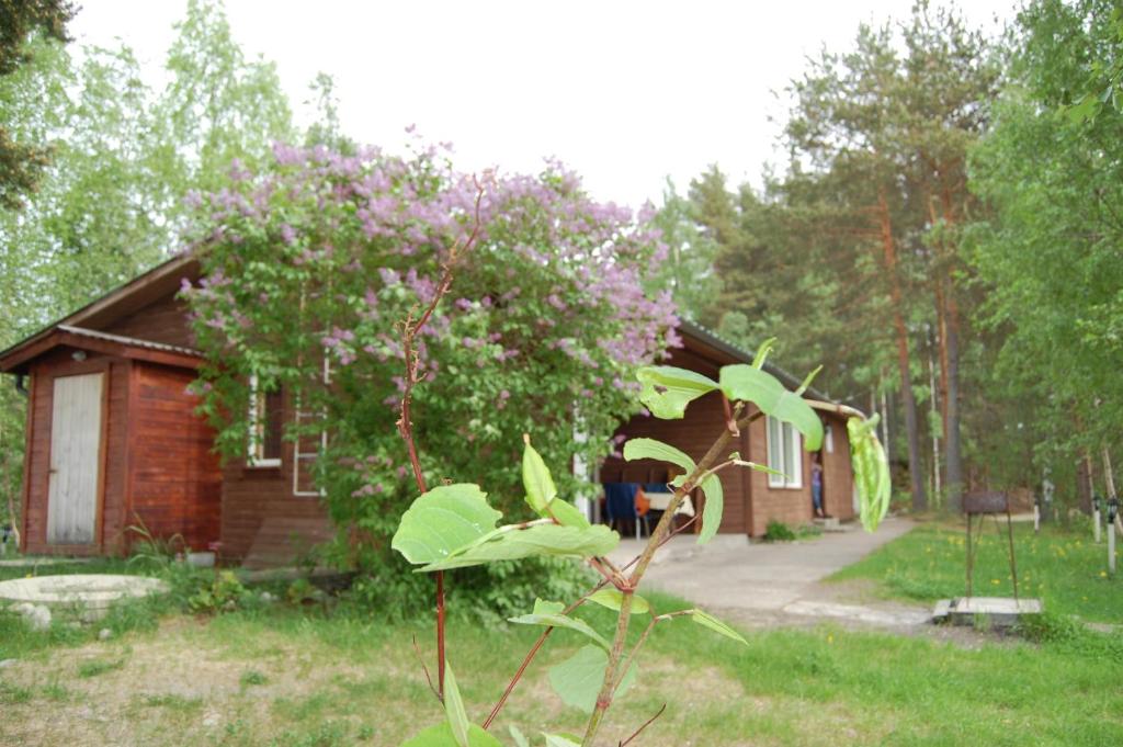 Lomasaaret Cottages - Villa De Trois Chambres Avec Sauna
