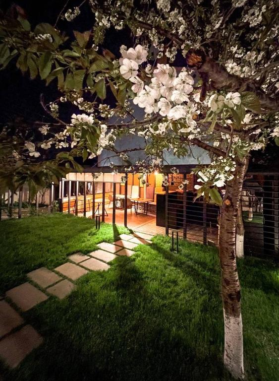Zahrada ubytování Andor Hotel