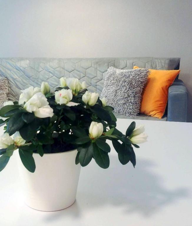 Posedenie v ubytovaní Bel Mare Wyspa, apartament z parkingiem gratis