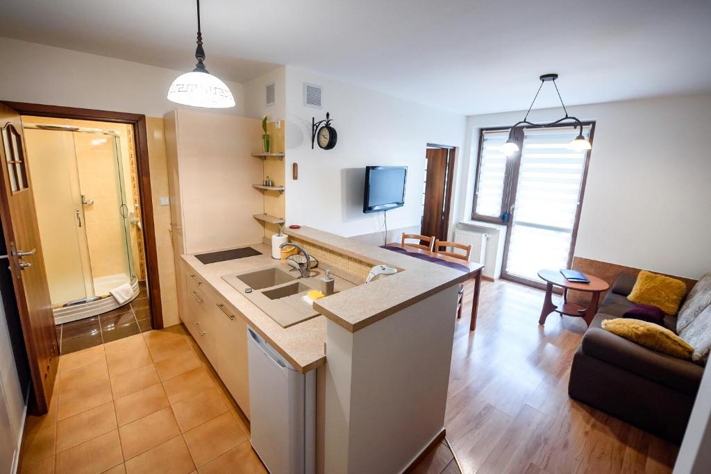 Kuchyňa alebo kuchynka v ubytovaní Apartamenty Sun & Snow Kraszewskiego