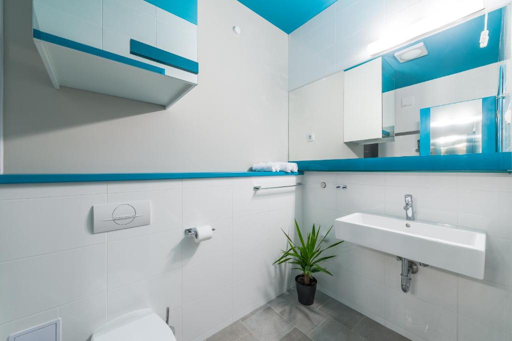 Apartments Villa Azzurra Bol - 17