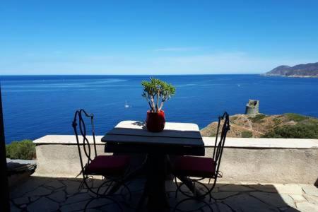 Coin de paradis vue dominante sur mer, montagne et tour génoise avec jacuzzi في Pino: طاولة مع نباتات الفخار في الأعلى