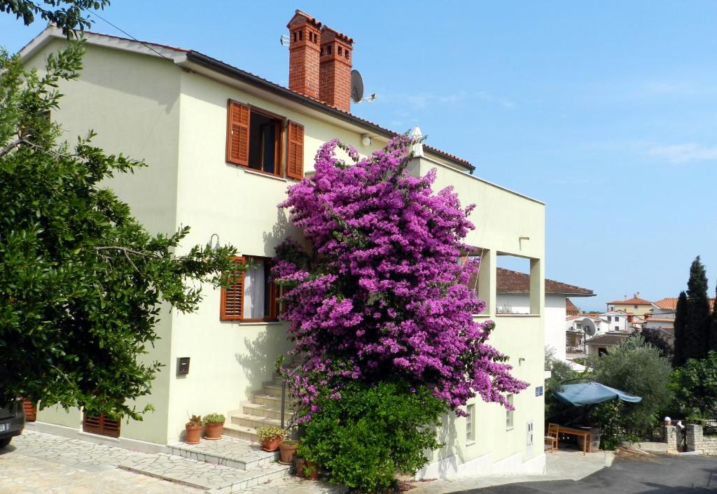 Booking.com: Mata Apartments , Premantura, Croazia - 37 Giudizi degli  ospiti . Prenota ora il tuo hotel!