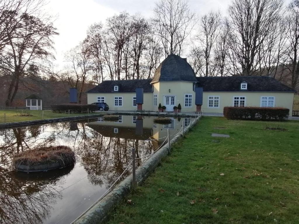 una grande casa bianca con un laghetto davanti di Ferienwohnung am Schloßpark a Bad Berleburg