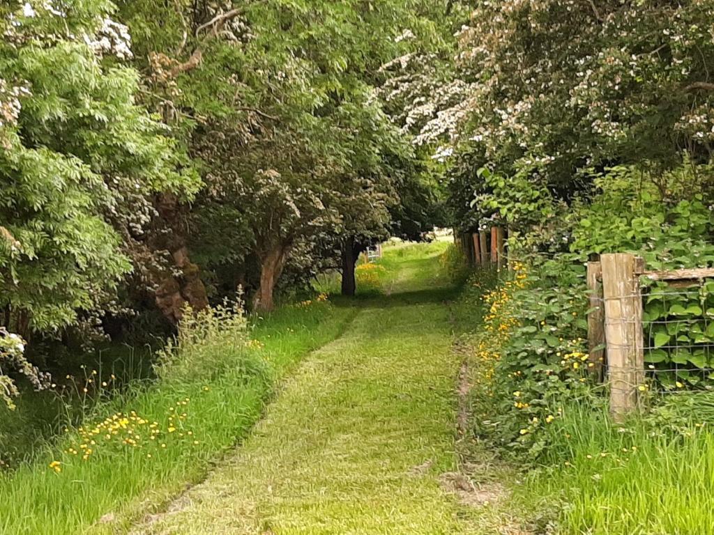 Zahrada ubytování Abhainn Ri Farmhouse