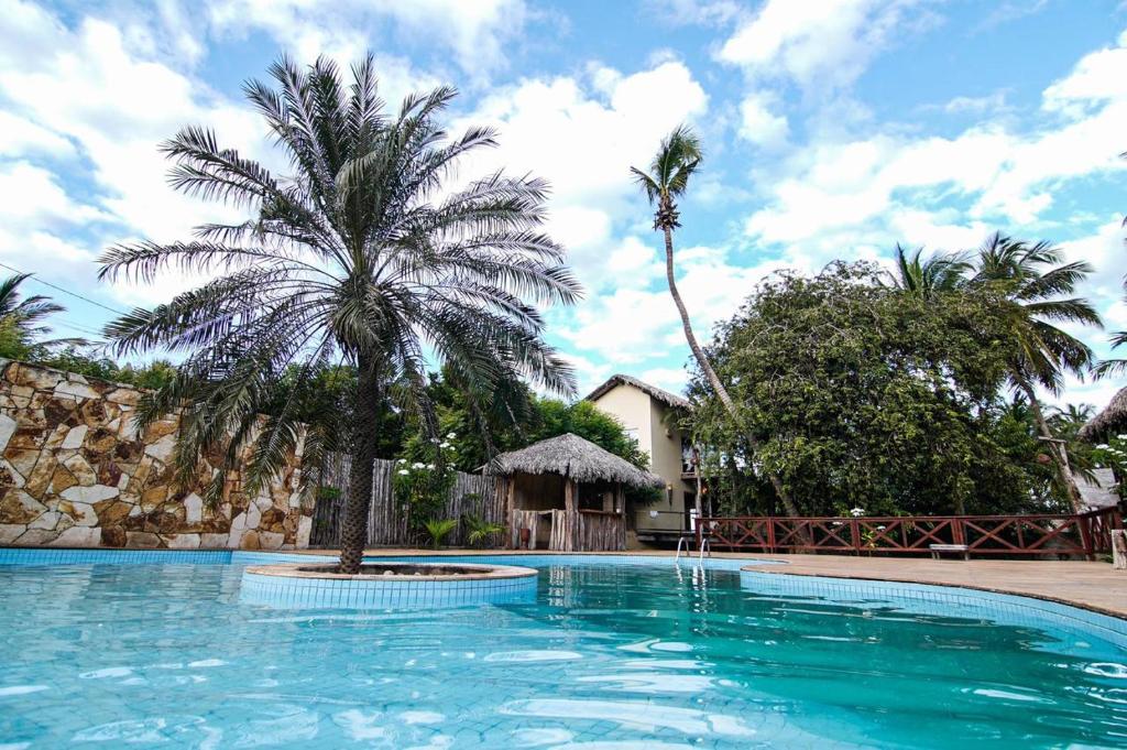 a swimming pool with a palm tree in the middle at Pousada Rota dos Ventos in Barra Grande