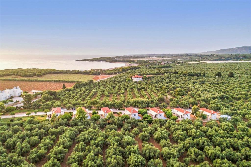 Príroda v okolí apartmánu