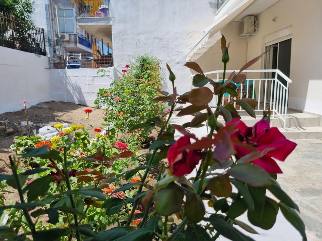 Taman di luar Cosy and modern appartment in Olympiada