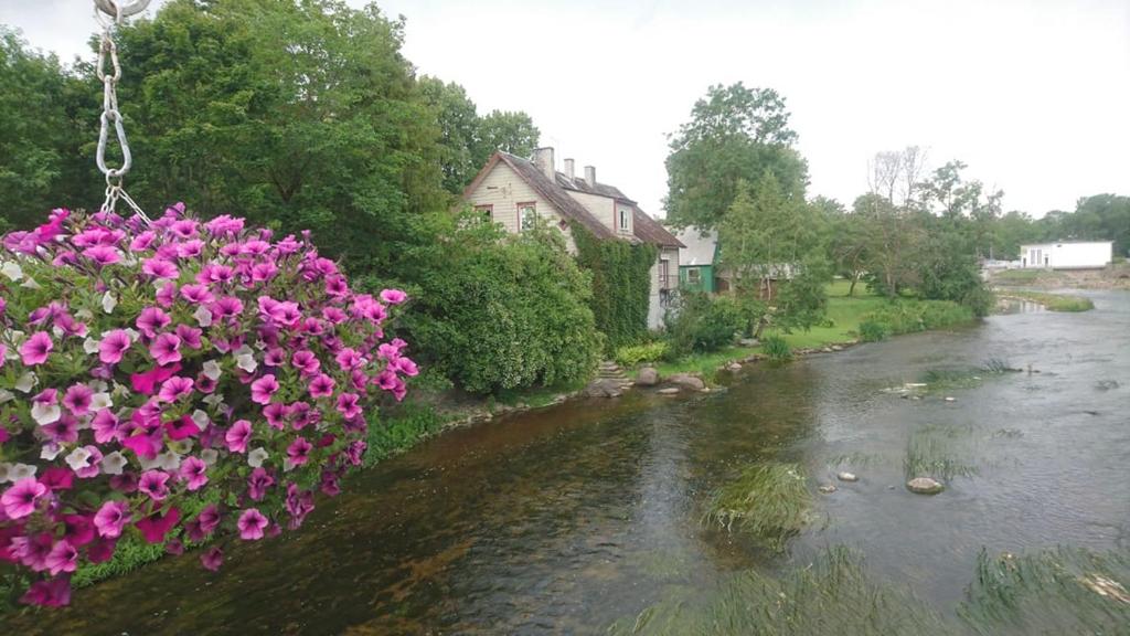 Příroda nedaleko apartmánu