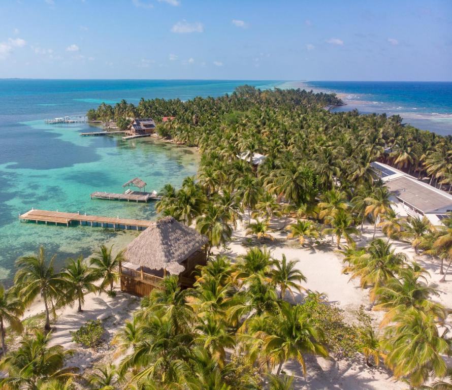 uma vista aérea de uma ilha tropical com palmeiras em Pelican Beach Resort South Water Caye em Dangriga