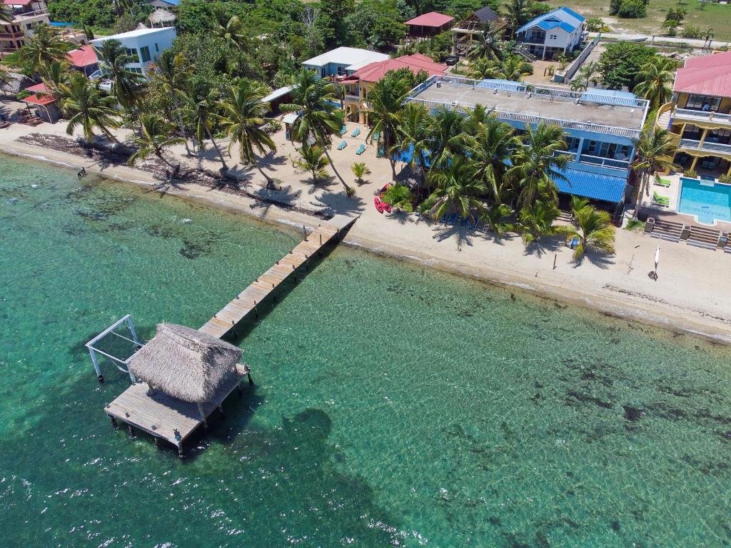 an aerial view of a beach with a dock in the water at Parrot Cove Lodge in Hopkins