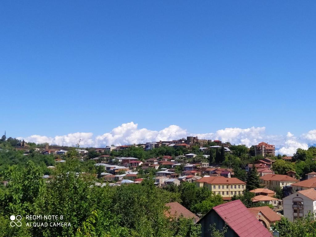 Vista general d'una muntanya o vistes d'una muntanya des de l'hostal o pensió