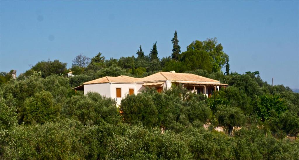 una casa en la cima de una colina con árboles en Ktima Dafnes, en Nauplia