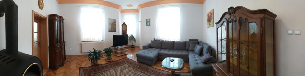 TV a/nebo společenská místnost v ubytování Apartmán Kraslice