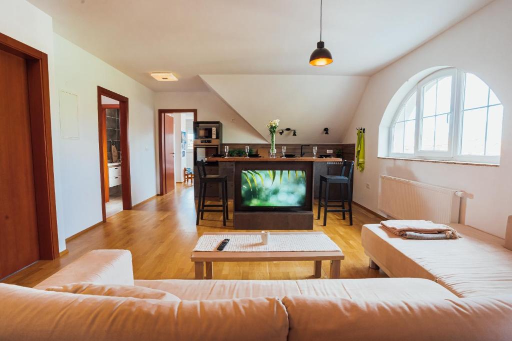 TV tai viihdekeskus majoituspaikassa Apartment Sneznik