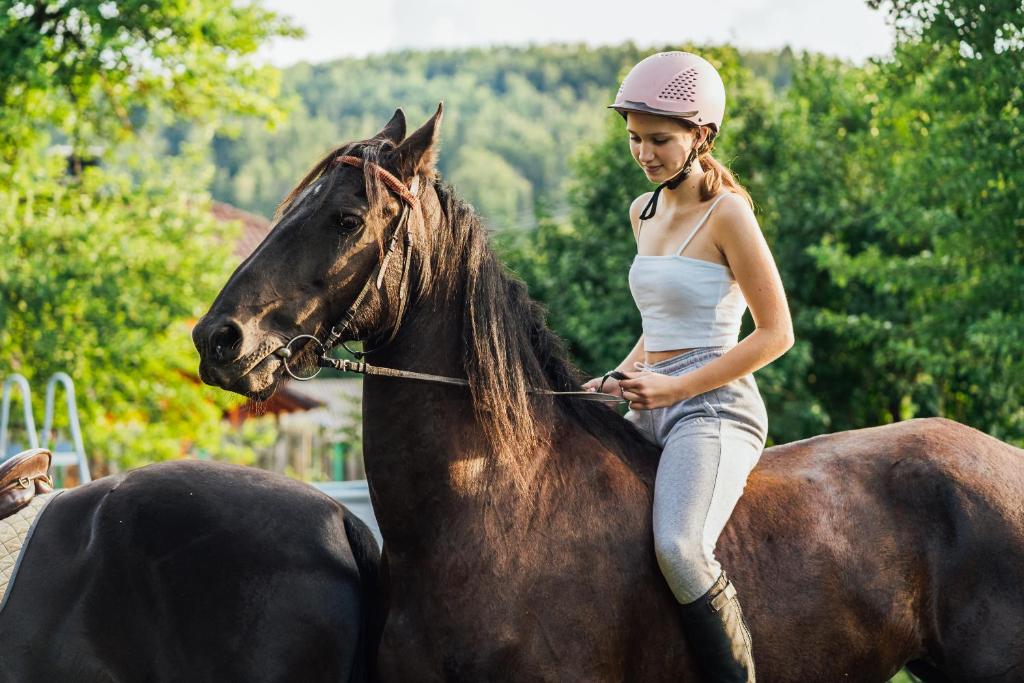 Zvířata v ubytování v soukromí nebo okolí