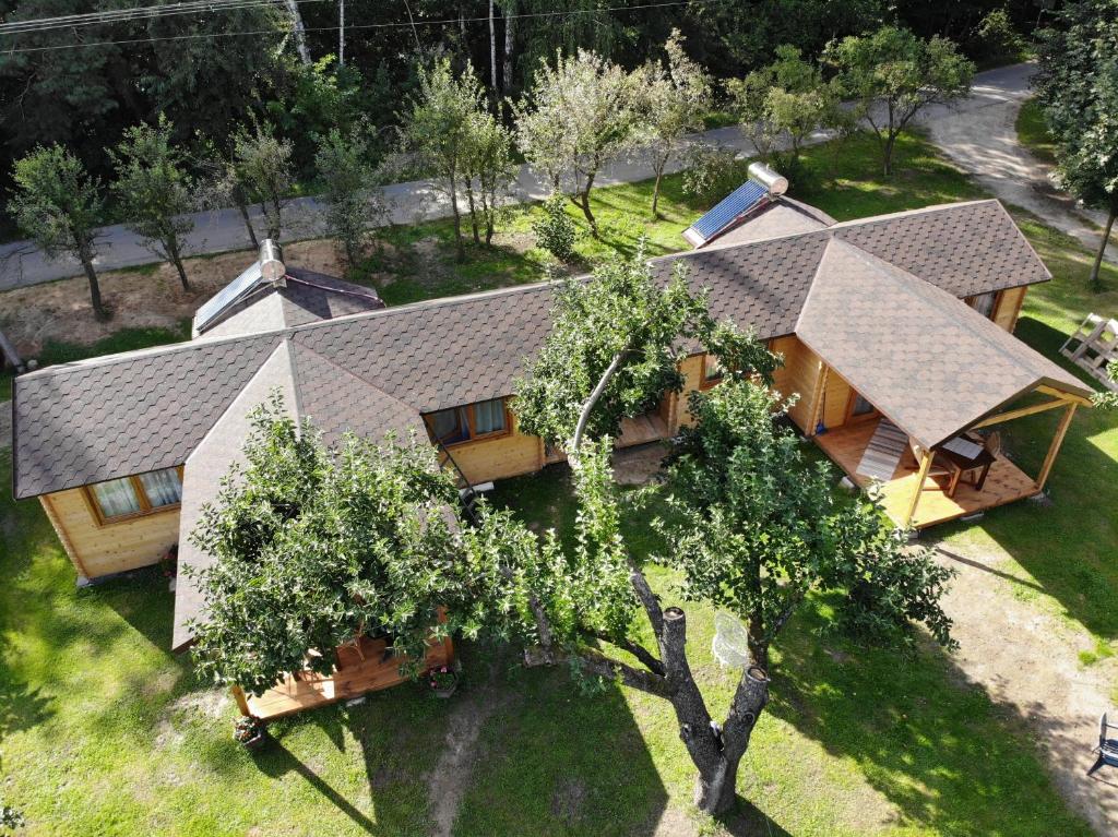 an aerial view of a house with a tree at Siedlisko Zacisze in Policzna