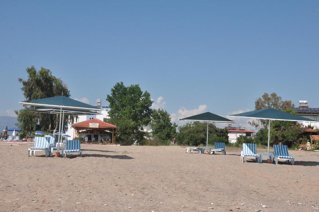 Příroda nedaleko hotelu