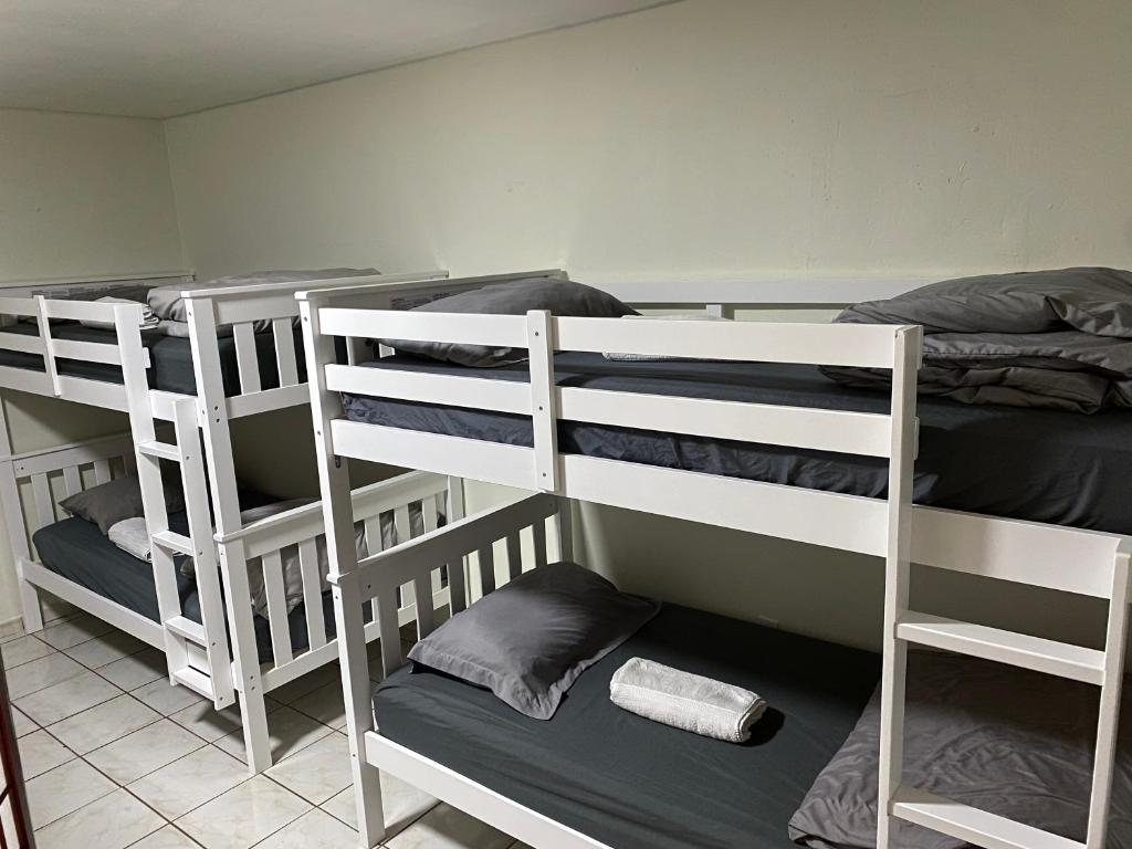Single Size BOTTOM Bunk Bed - Mixed Shared ROOM, Miami – Updated 2024 Prices