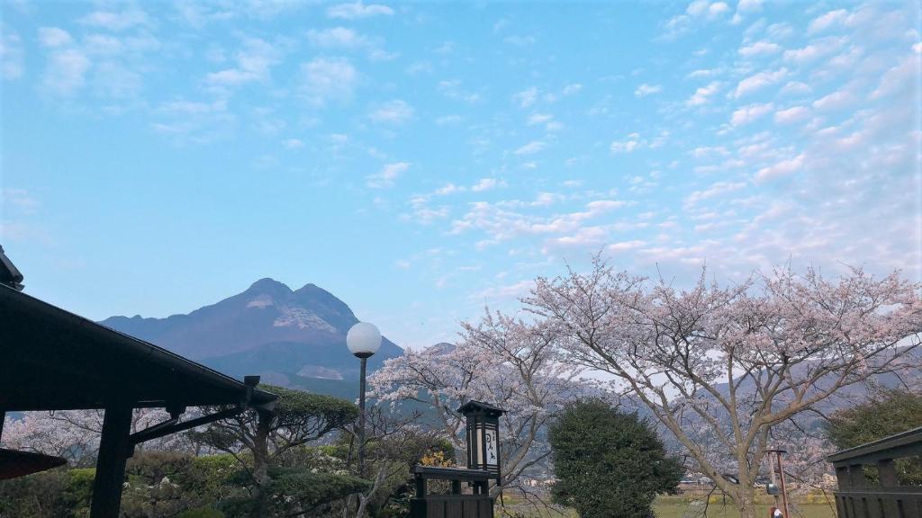 a view of a mountain with trees and a street light at Sanso Tanaka in Yufuin