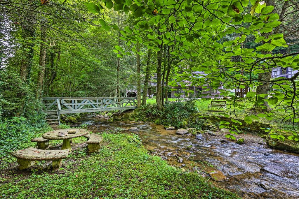 ein Park mit einer Bank neben einem Bach in der Unterkunft The Chalet Retreat Cabin Across from Creek! in Roan Mountain