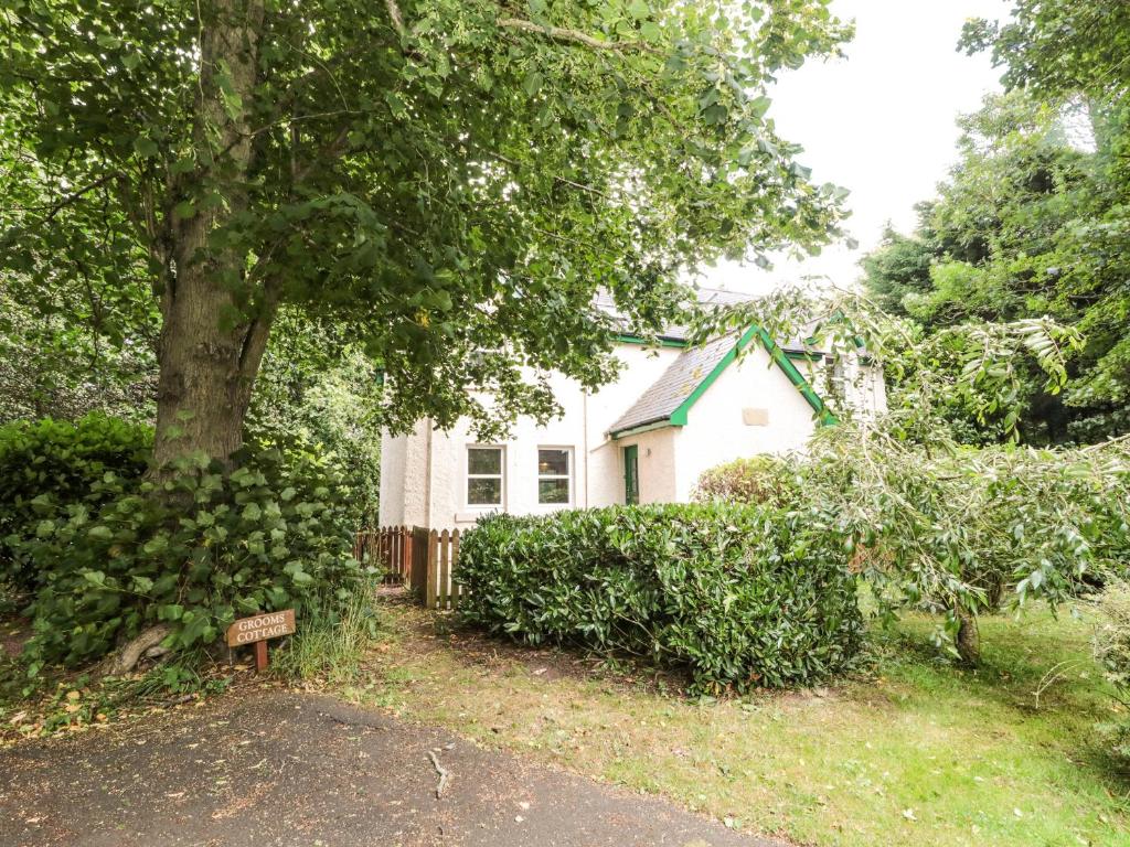 Allanton的住宿－Groom's Cottage，前面有一棵树的白色房子