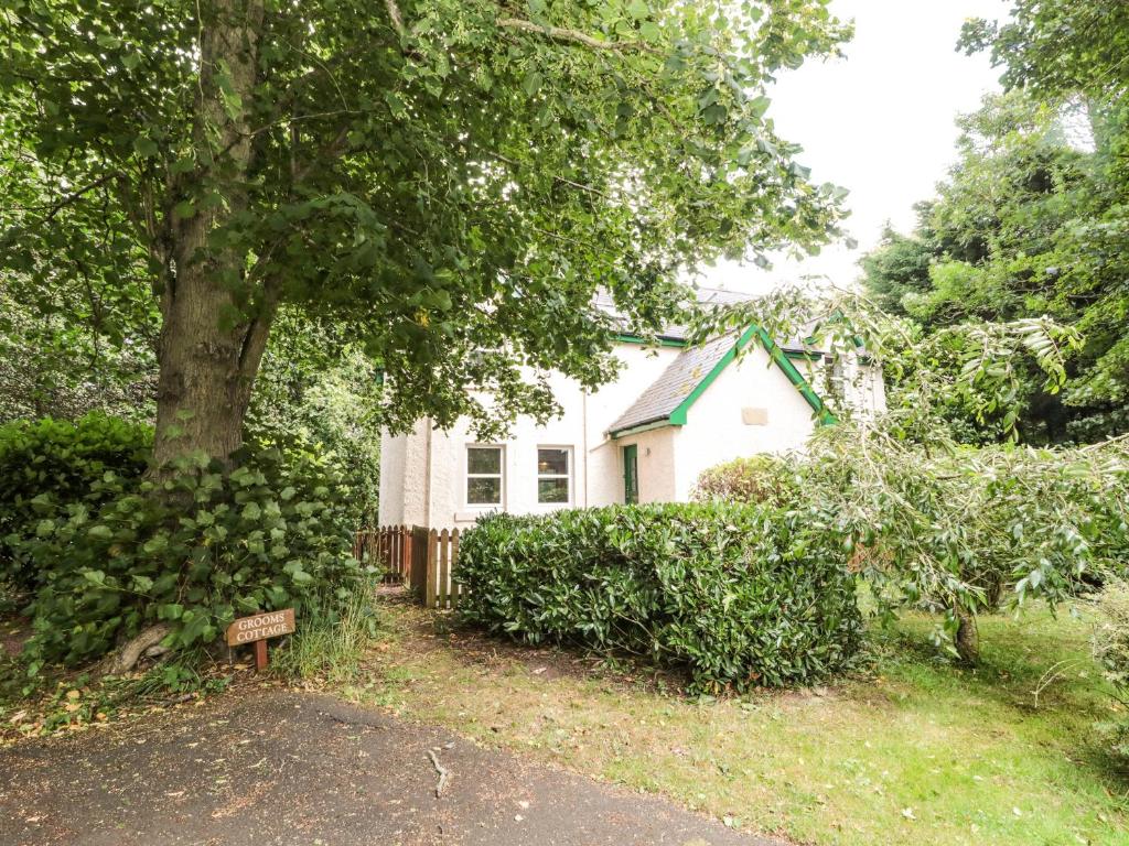 a white house with a tree in front of it at Groom's Cottage in Allanton