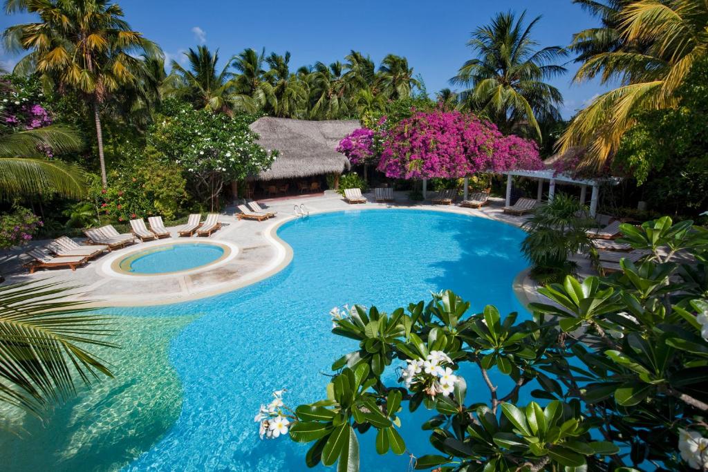 Bazén v ubytování Kuramathi Maldives nebo v jeho okolí