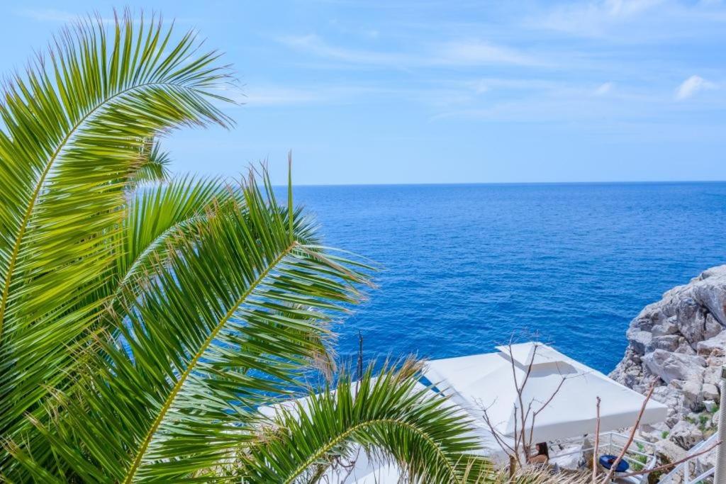 eine Palme vor dem Meer in der Unterkunft Apartment Sympa in Dubrovnik