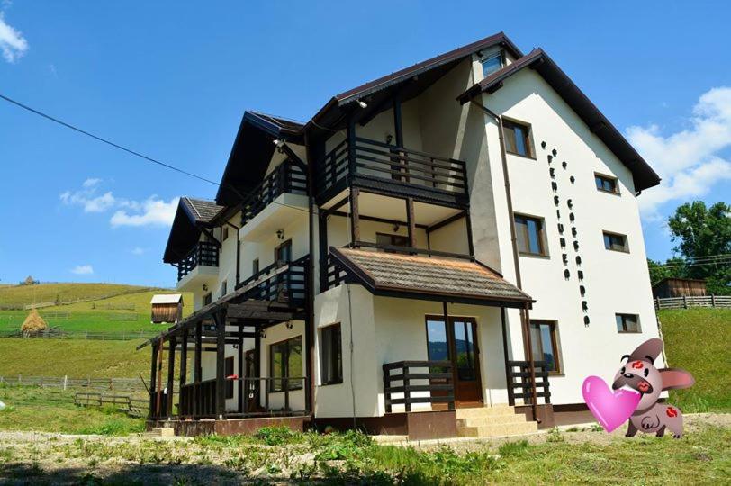 a large house with a pink heart in front of it at Pensiunea Cassandra in Neagra Şarului