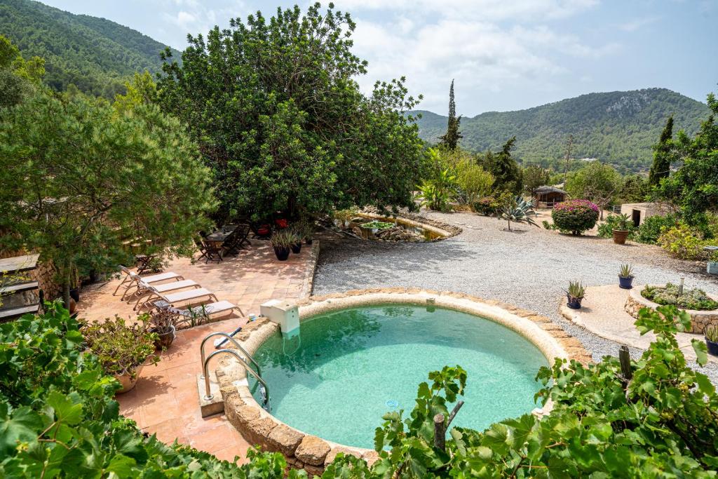 een zwembad in een tuin met bomen en bergen bij ROBBY'S ibiza in Sant Josep