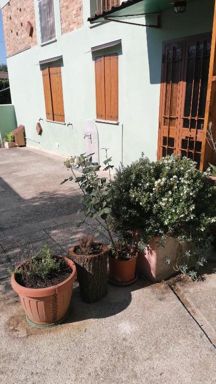 a group of potted plants in front of a building at Casa Beatrice in Spilimbergo