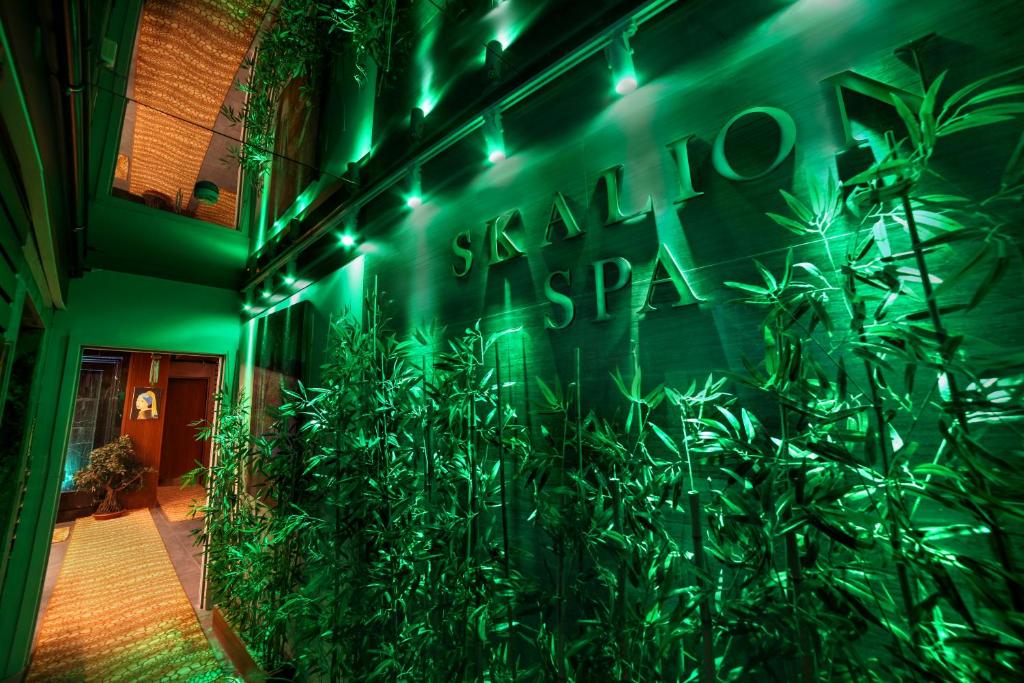 Zahrada ubytování Skalion Hotel