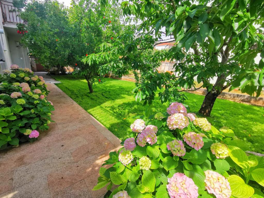 Zahrada ubytování Apartment Adriana