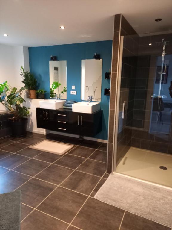 uma casa de banho com 2 lavatórios e um chuveiro em logement indépendant em Tour-en-Sologne