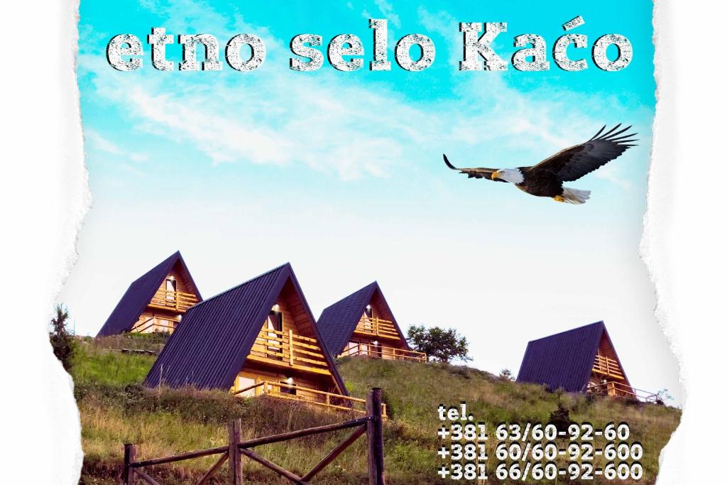 une photo d'un oiseau volant devant une maison dans l'établissement Etno selo Kaćo, à Sjenica