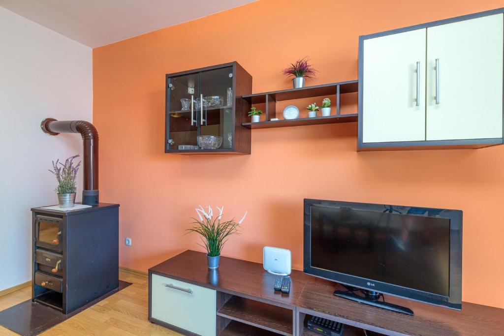 TV a/nebo společenská místnost v ubytování Vita