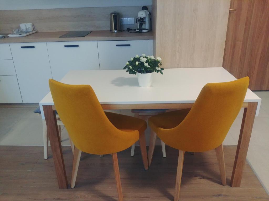 Kuchyňa alebo kuchynka v ubytovaní Bel Mare Wyspa, apartament z parkingiem gratis